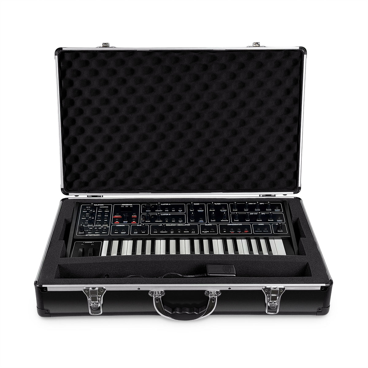 Sequential Fourm Hard Case | Analog Cases