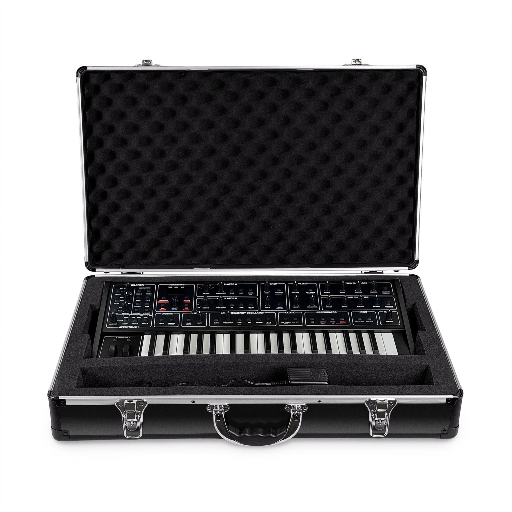 Sequential Fourm Hard Case | Analog Cases