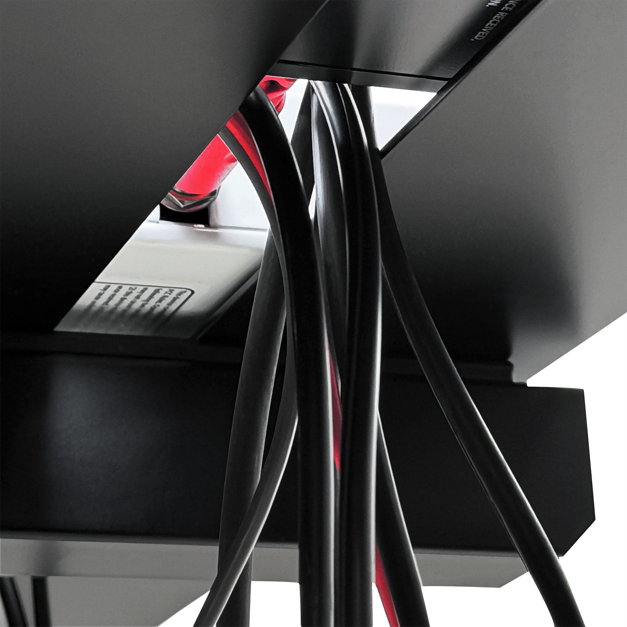 XTS Performance Stand System | Analog Cases